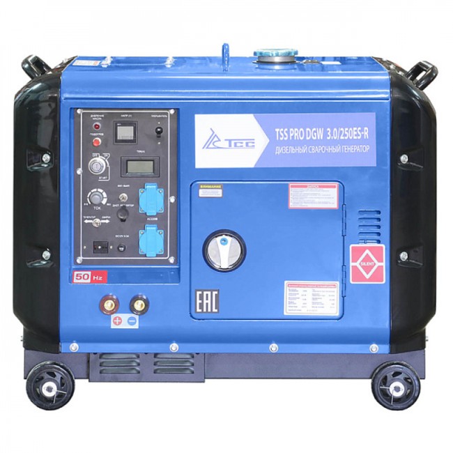 Сварочный генератор TSS PRO DGW 3.0/250ES-R