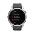 Часы Garmin Fenix 7S серебристый с графитовым силиконовым ремешком Часы Garmin Fenix 7S серебристый с графитовым силиконовым ремешком